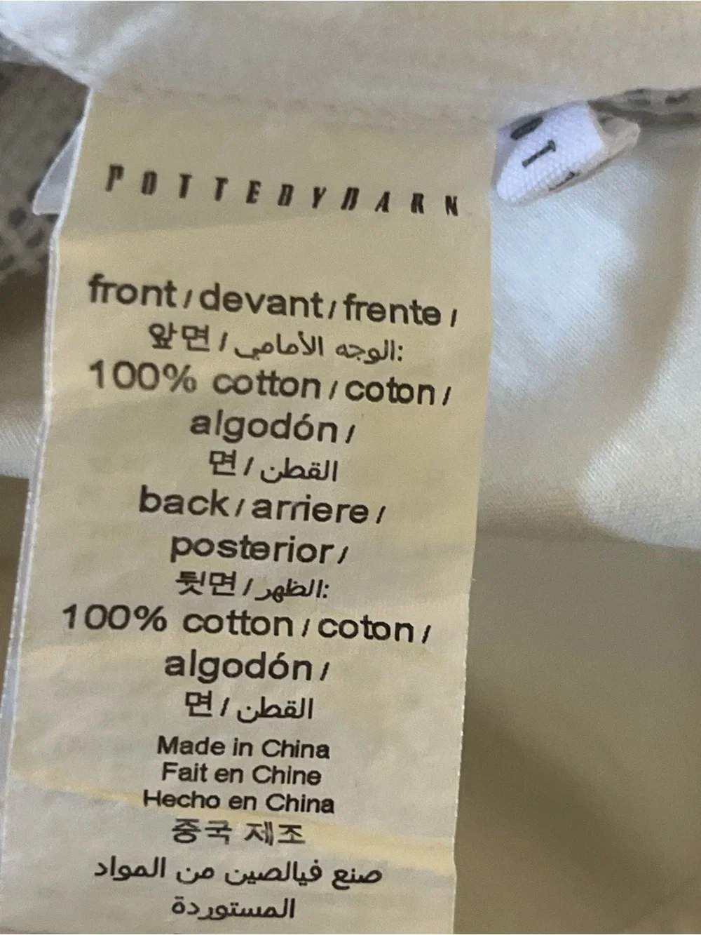 Pottery Barn pillow sham pair